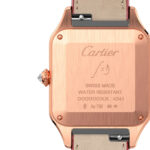 Cartier Santos-Dumont WJSA0016 Silvered Sunray Dial Large - Image 3