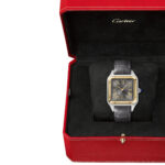 Cartier W2SA0028 Santos de Cartier Grey Sunray Dial Large - Image 7