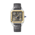 Cartier W2SA0028 Santos de Cartier Grey Sunray Dial Large