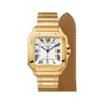 Cartier WGSA0029 Santos de Cartier Opaline Dial Large - Image 7