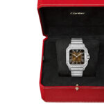 Cartier WSSA0064 Santos de Cartier Graduated Brown Dial Large - Image 8