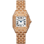 Panthère de Cartier Watch HPI01131