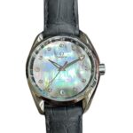 Omega Seamaster Aqua Terra 38.5mm Grey Mother of Pearl Dial Watch 231.13.39.21.57.001