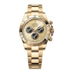 Rolex Daytona 126508-0006 Champagne & Black Dial Oyster Bracelet